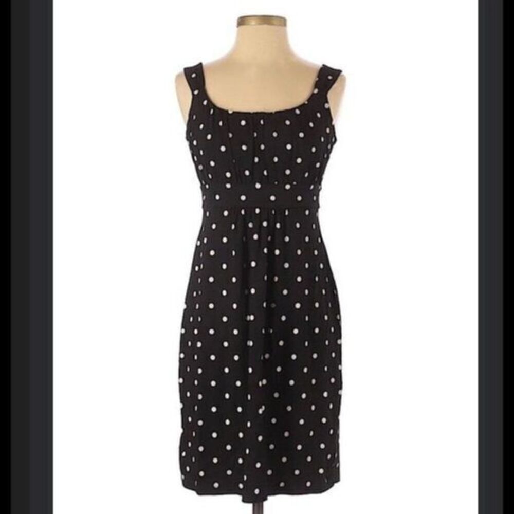 Ann Taylor Polka Dot‎ Empire Waist Dress